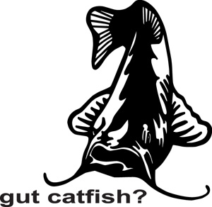 Gut Catfish?